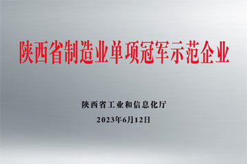 省制造業(yè)單項(xiàng)冠軍 省制造業(yè)單項(xiàng)冠軍